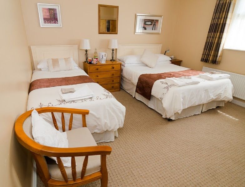 O Neills Bed And Breakfast 딩글 외부 사진